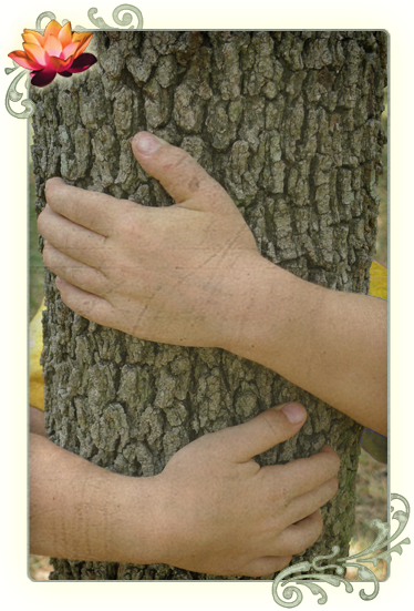 Tree hug