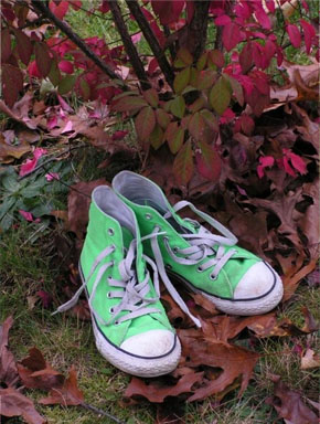 leaves and hightops